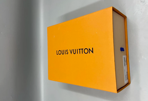 Louis Vuitton Skate Cinza